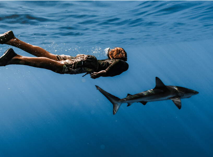 A photo of a male snorkeler swimming underwater along a shark.