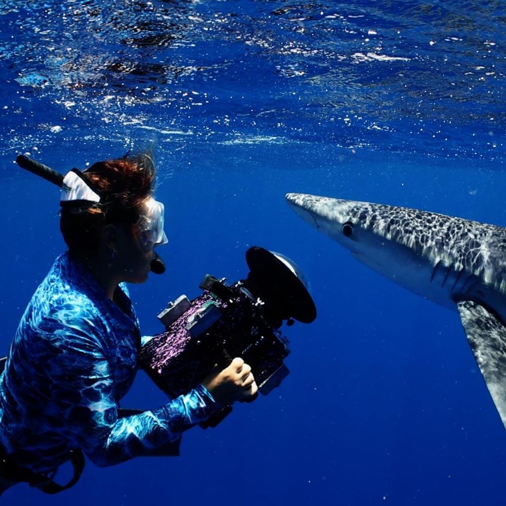 Photo of Hawaii Adventure Diving safety diver and photographer Sammy taking a picture of a shark with a professional underwater camera system.