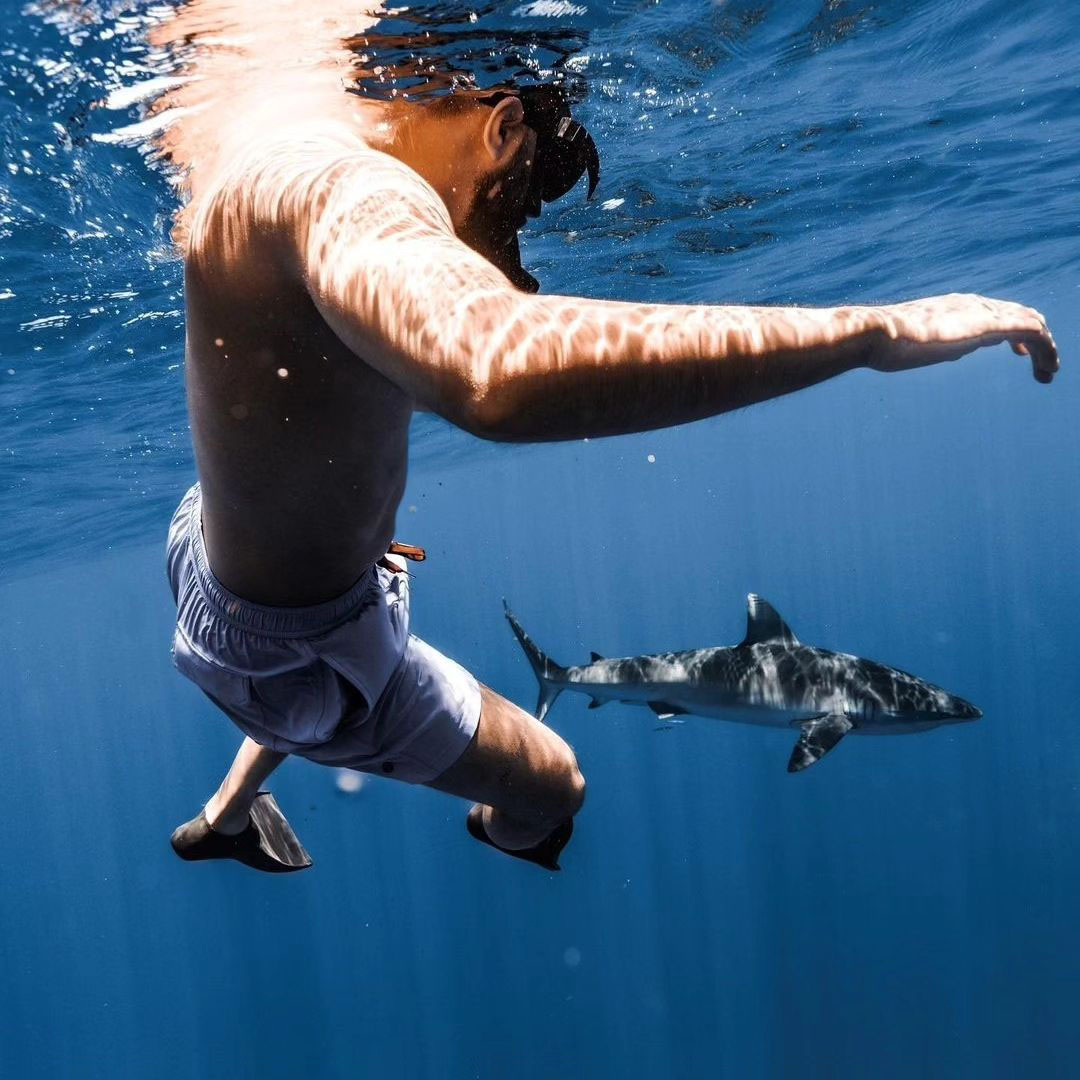 An underwater photo of a young male freediver in his twenties treading water in Hawaii with a large shark swimming by. He's in the water with the shark without a cage. The water is clear blue and the sun is shinning.